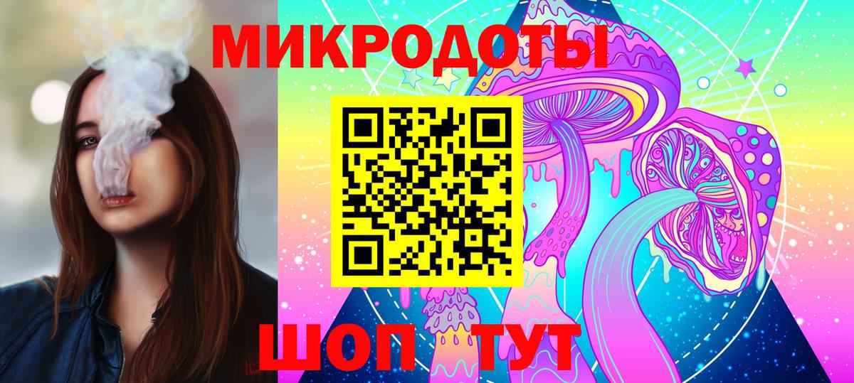 Галлюциногенные грибы Psilocybe Пенза