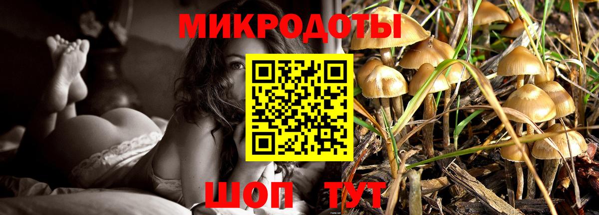 Пенза  закладка  Вход с VPN  Галлюциногенные грибы MAGIC MUSHROOMS  Псилоцибиновые грибы Psilocybine cubensis 